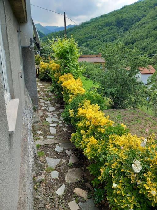 Villa Il Non Ti Scordar Di Me Valbravenna Exterior foto